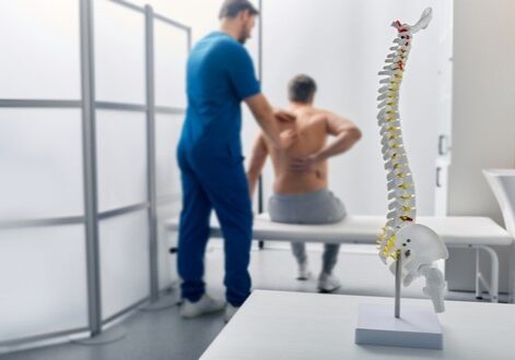 Anatomical model of spine on table in manual therapist's office. Adult man patient during spinal exam by physiotherapist on background, soft focus